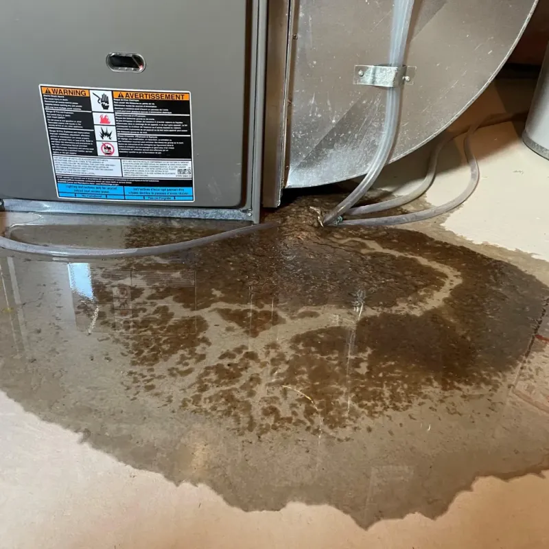 Appliance Leak Cleanup in Roseau, MN